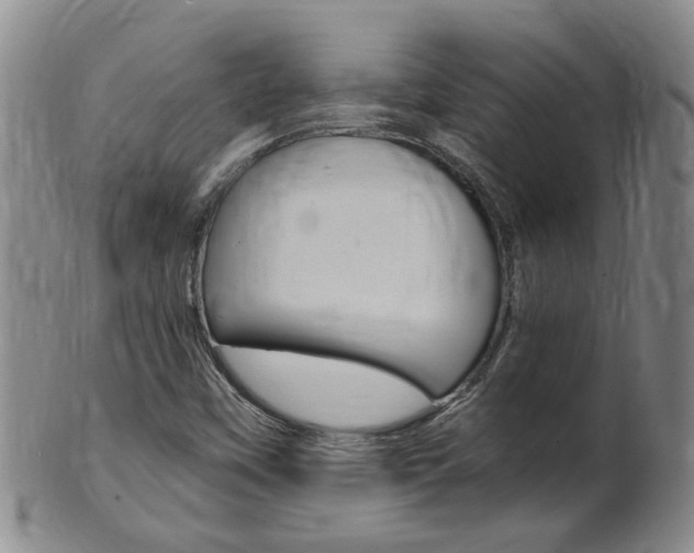 X0000101651451200807100928