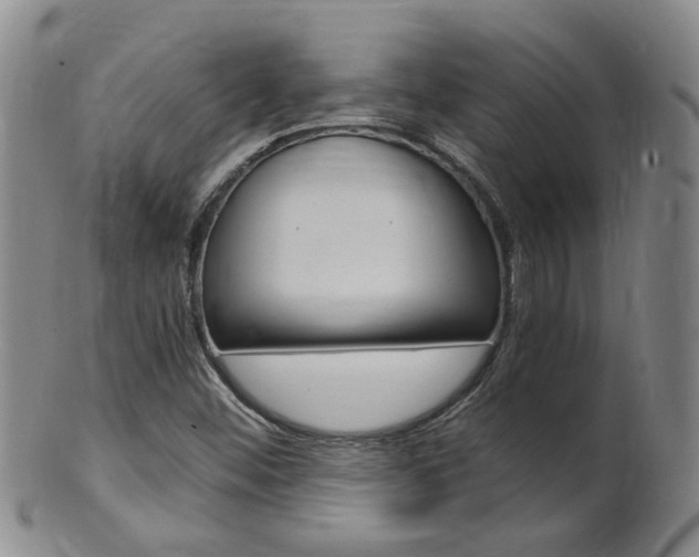 X0000101651452200807100928