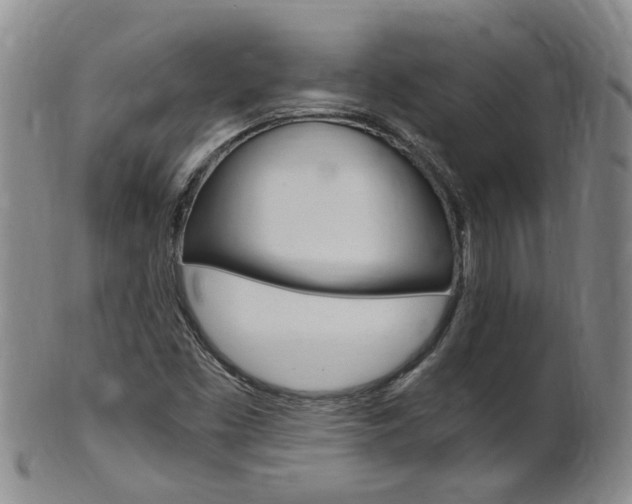 X0000101651453200807100928