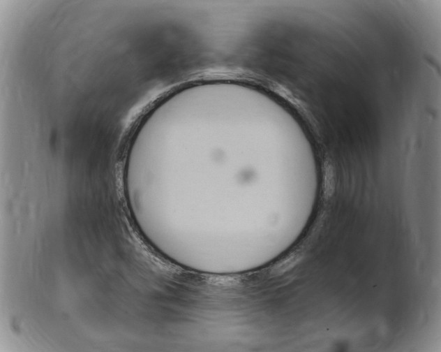 X0000101651454200807100928