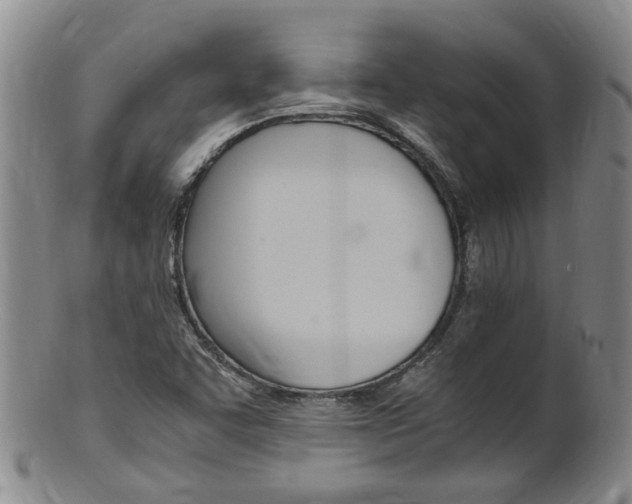 X0000101651455200807100928
