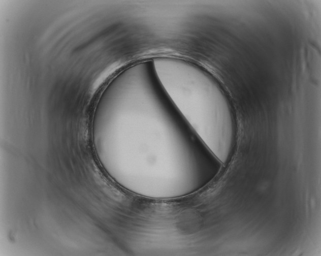 X0000101651458200807100928