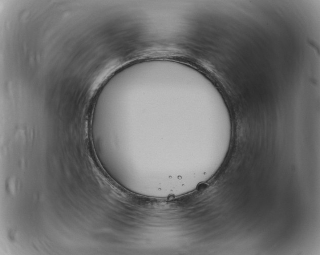 X0000101651459200807100928