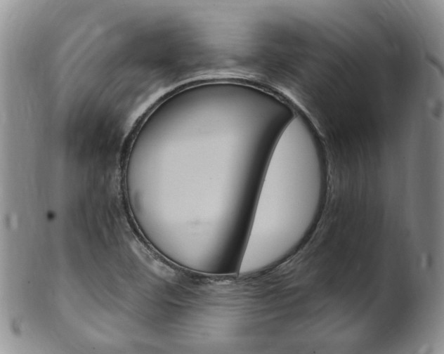 X0000101651460200807100928