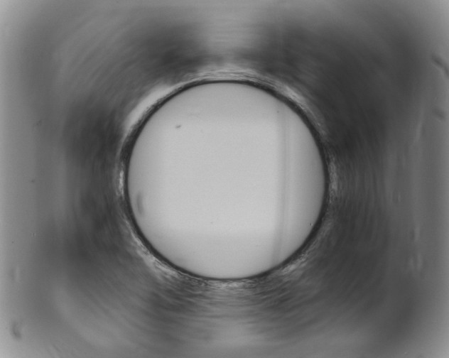 X0000101651462200807100928
