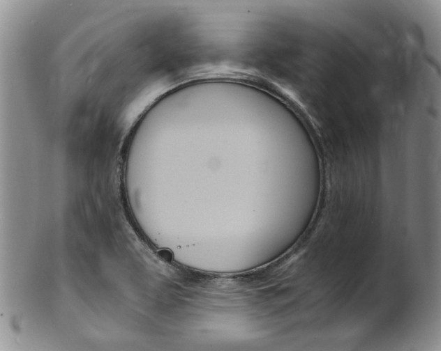X0000101651463200807100928