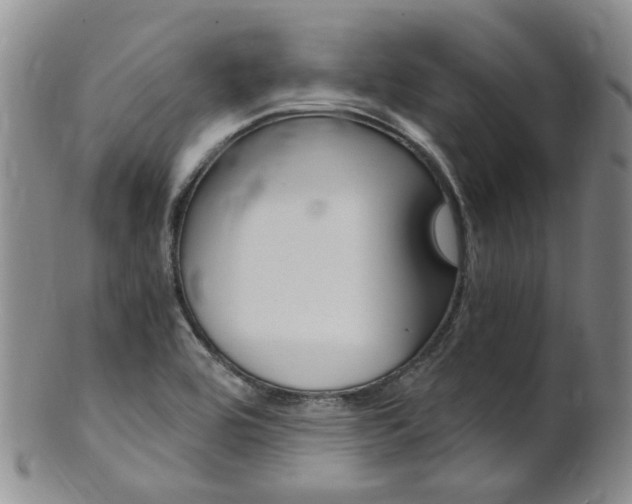 X0000101651464200807100928