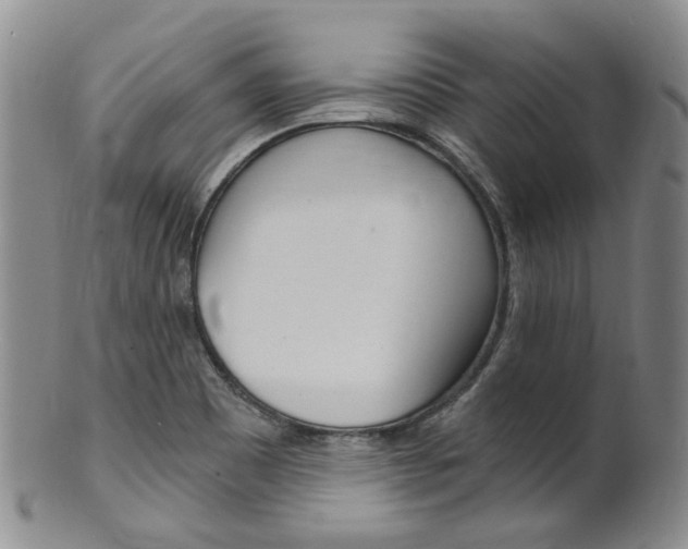 X0000101651465200807100928