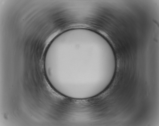 X0000101651466200807100928