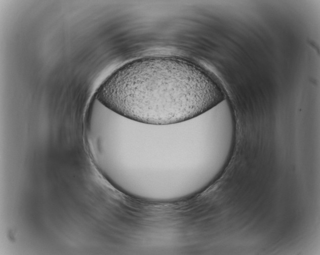 X0000101651467200807100928