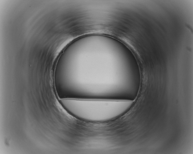 X0000101651468200807100928
