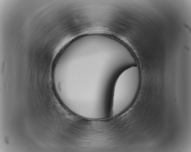 X0000101651469200807100928