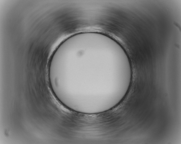 X0000101651470200807100928