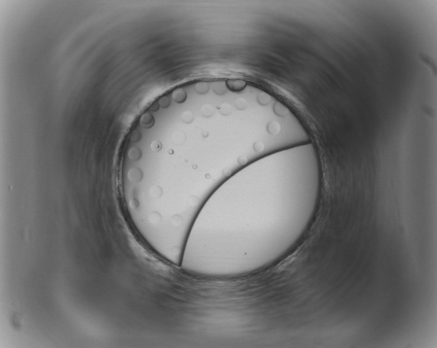 X0000101651471200807100928