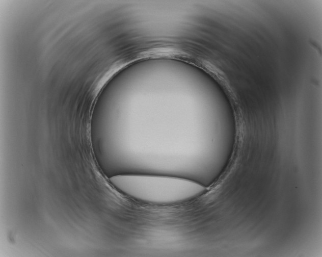 X0000101651473200807100928