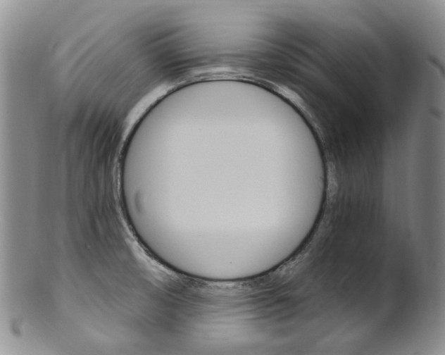 X0000101651474200807100928