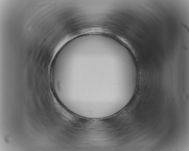 X0000101651475200807100928