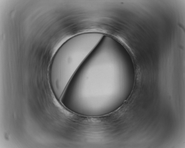 X0000101651476200807100928