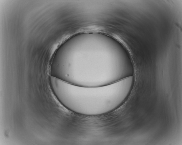 X0000101651477200807100928