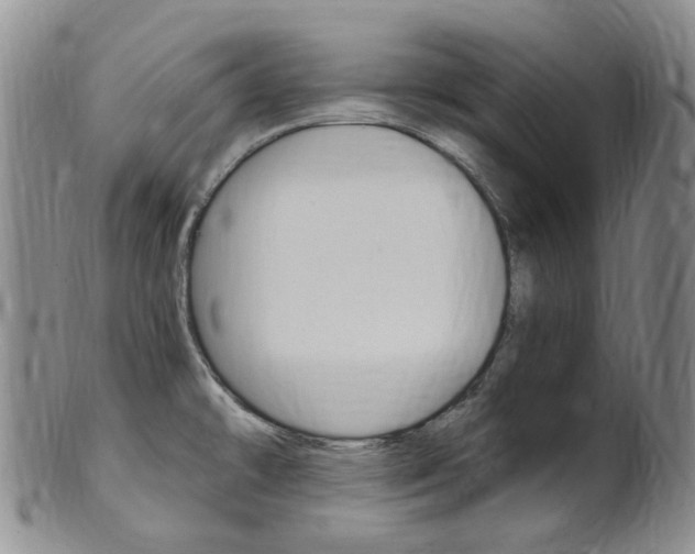 X0000101651478200807100928