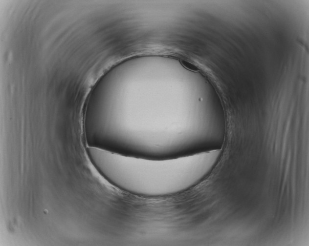 X0000101651479200807100928