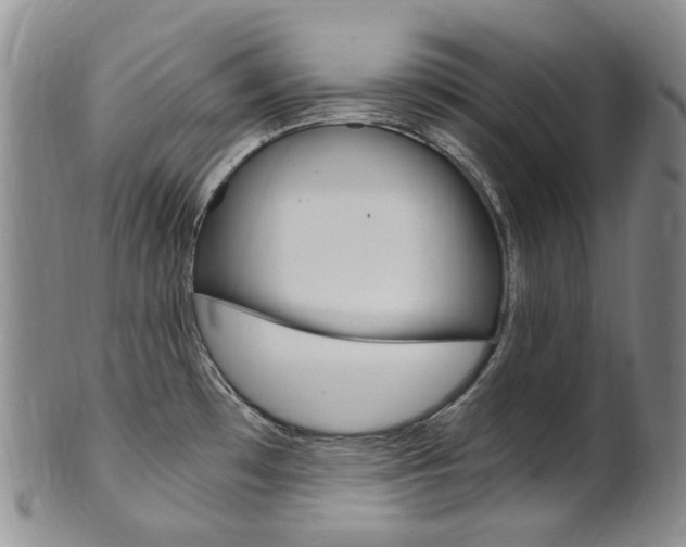 X0000101651481200807100928
