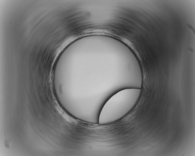 X0000101651482200807100928