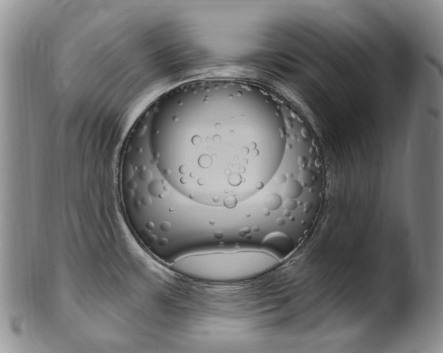 X0000101651483200807100928