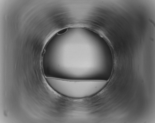 X0000101651484200807100928