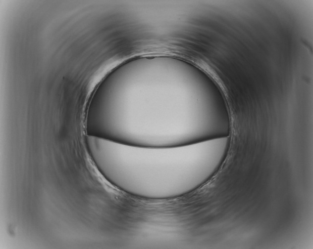 X0000101651485200807100928