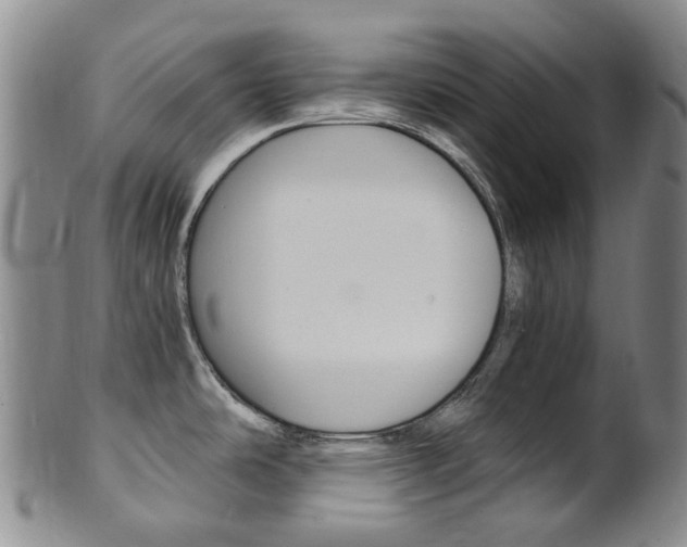 X0000101651486200807100928