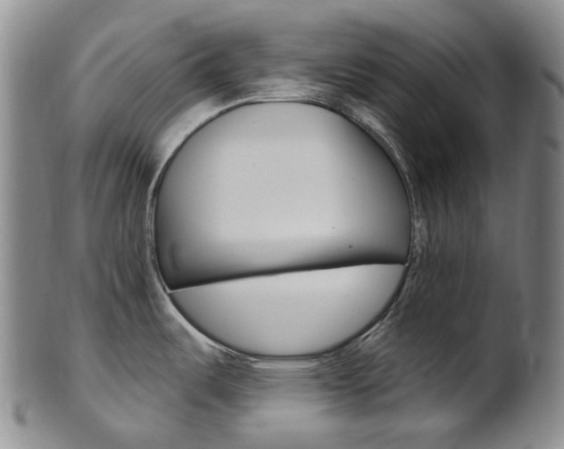 X0000101651487200807100928
