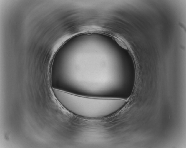 X0000101651488200807100928