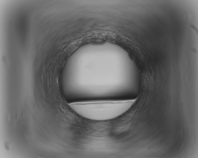 X0000101651489200807100927