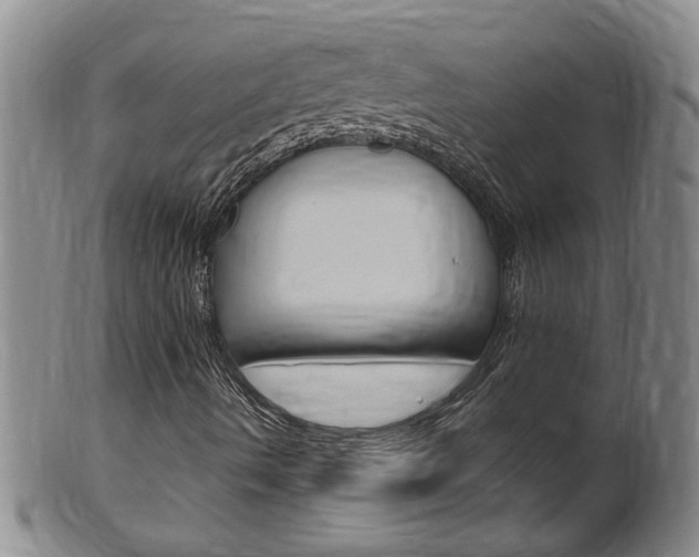 X0000101651490200807100927