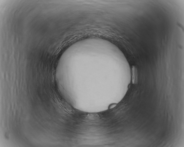 X0000101651491200807100927