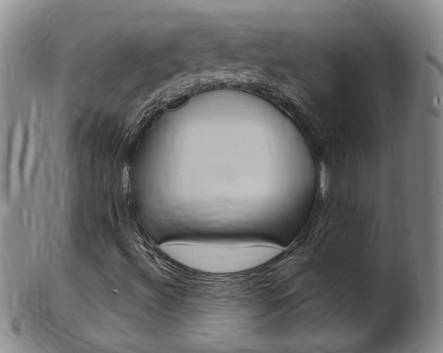 X0000101651492200807100927