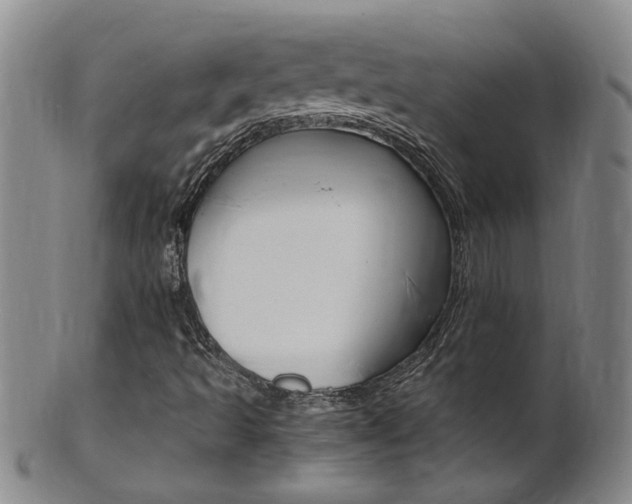 X0000101651493200807100927