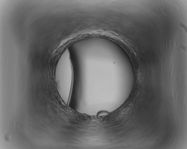 X0000101651494200807100927