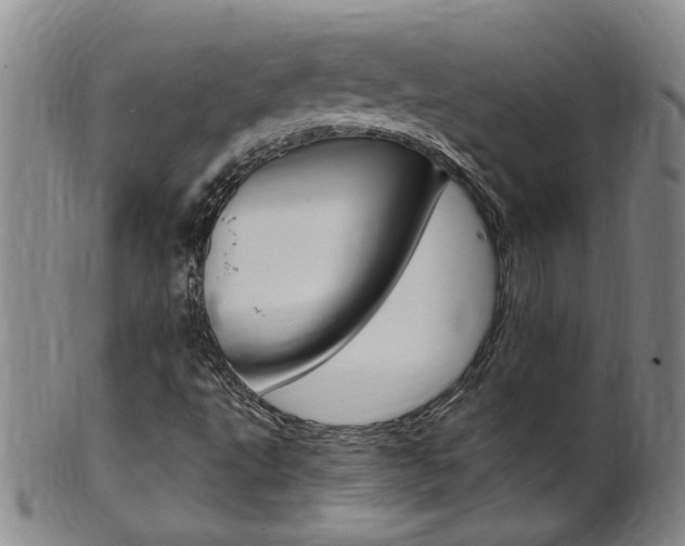 X0000101651495200807100927