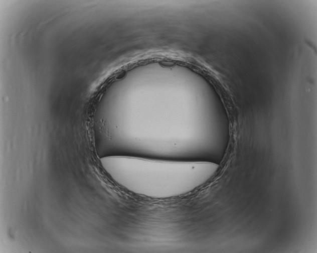 X0000101651496200807100927