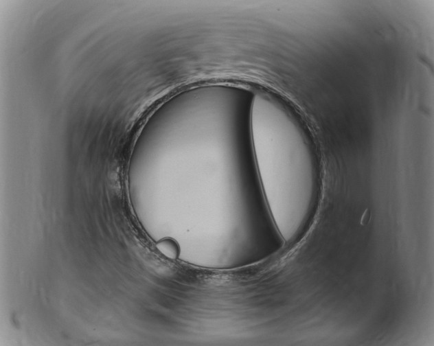 X0000101651497200807100927