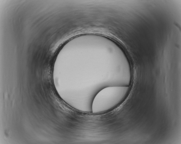 X0000101651498200807100927