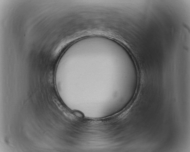 X0000101651499200807100927