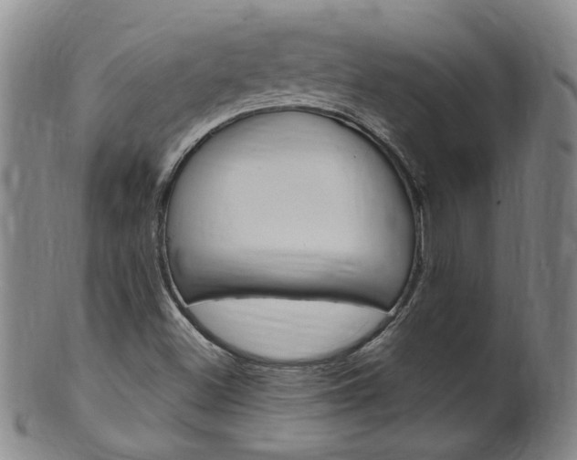X0000101651500200807100927
