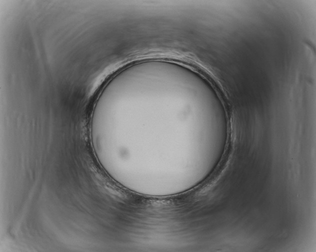 X0000101651501200807100927