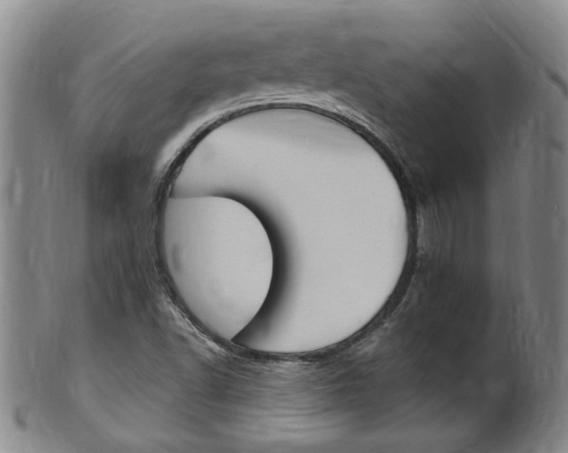 X0000101651502200807100927