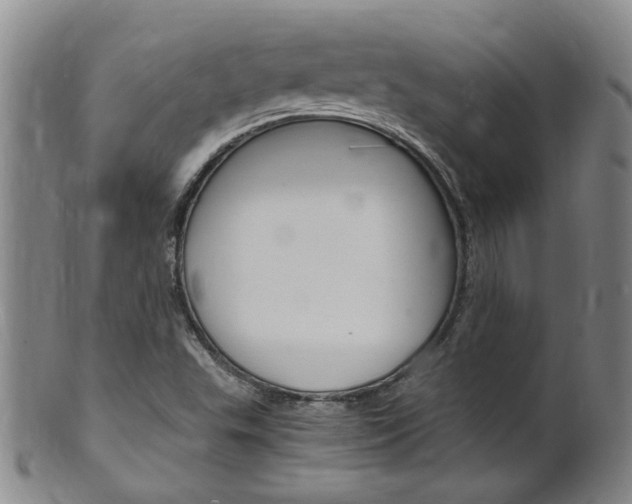X0000101651503200807100927