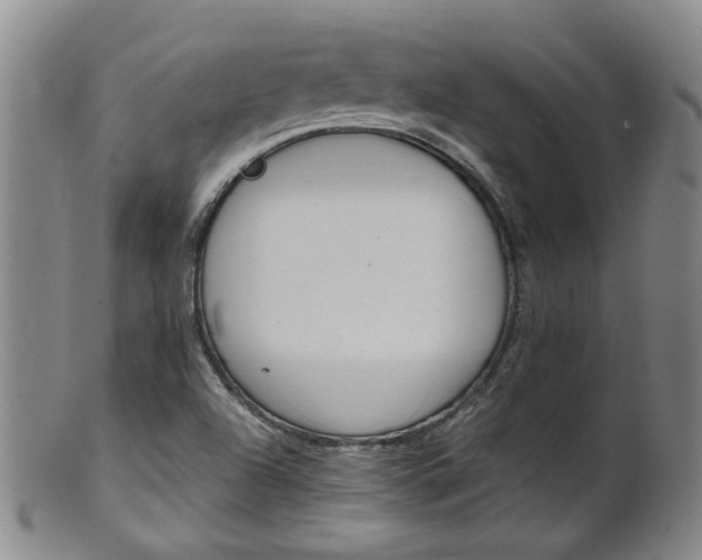 X0000101651504200807100927