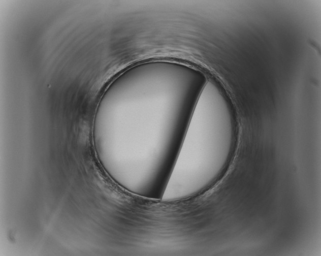 X0000101651505200807100927
